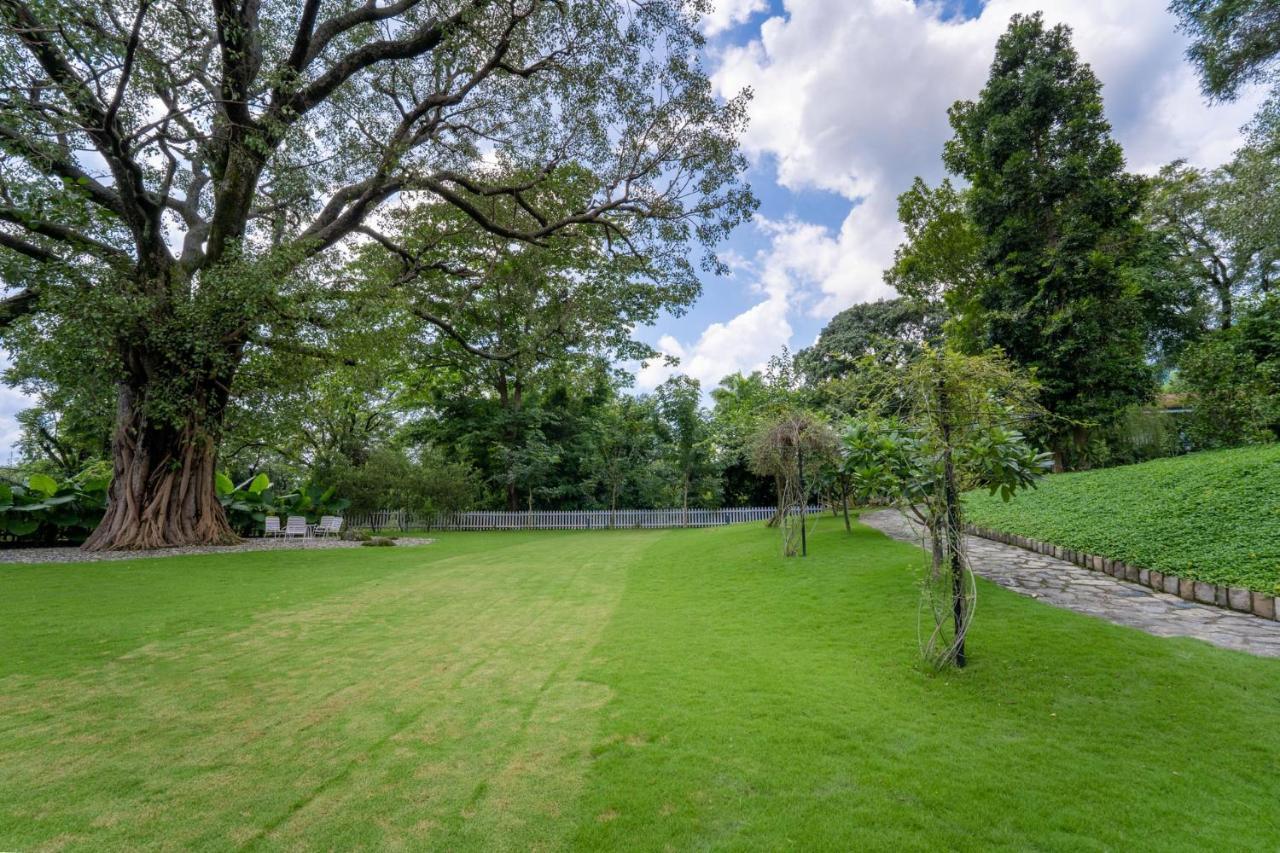 Lohonostays Ivy Cottage Dehradun Bagian luar foto